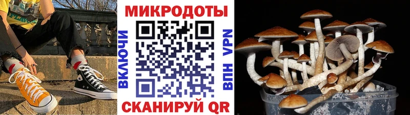 Псилоцибиновые грибы мицелий  Сретенск 